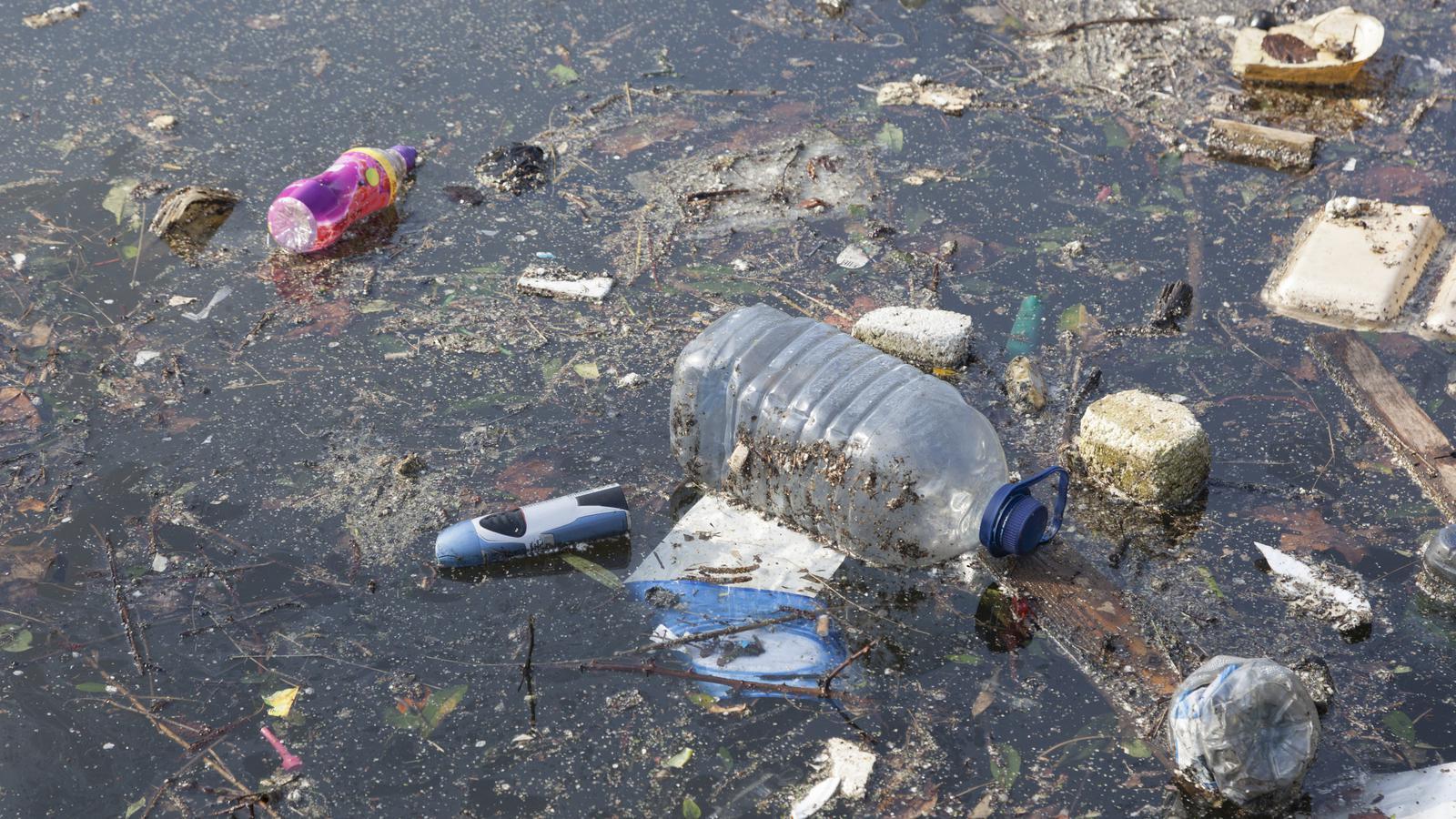 Poluição Das Aguas E Suas Consequencias