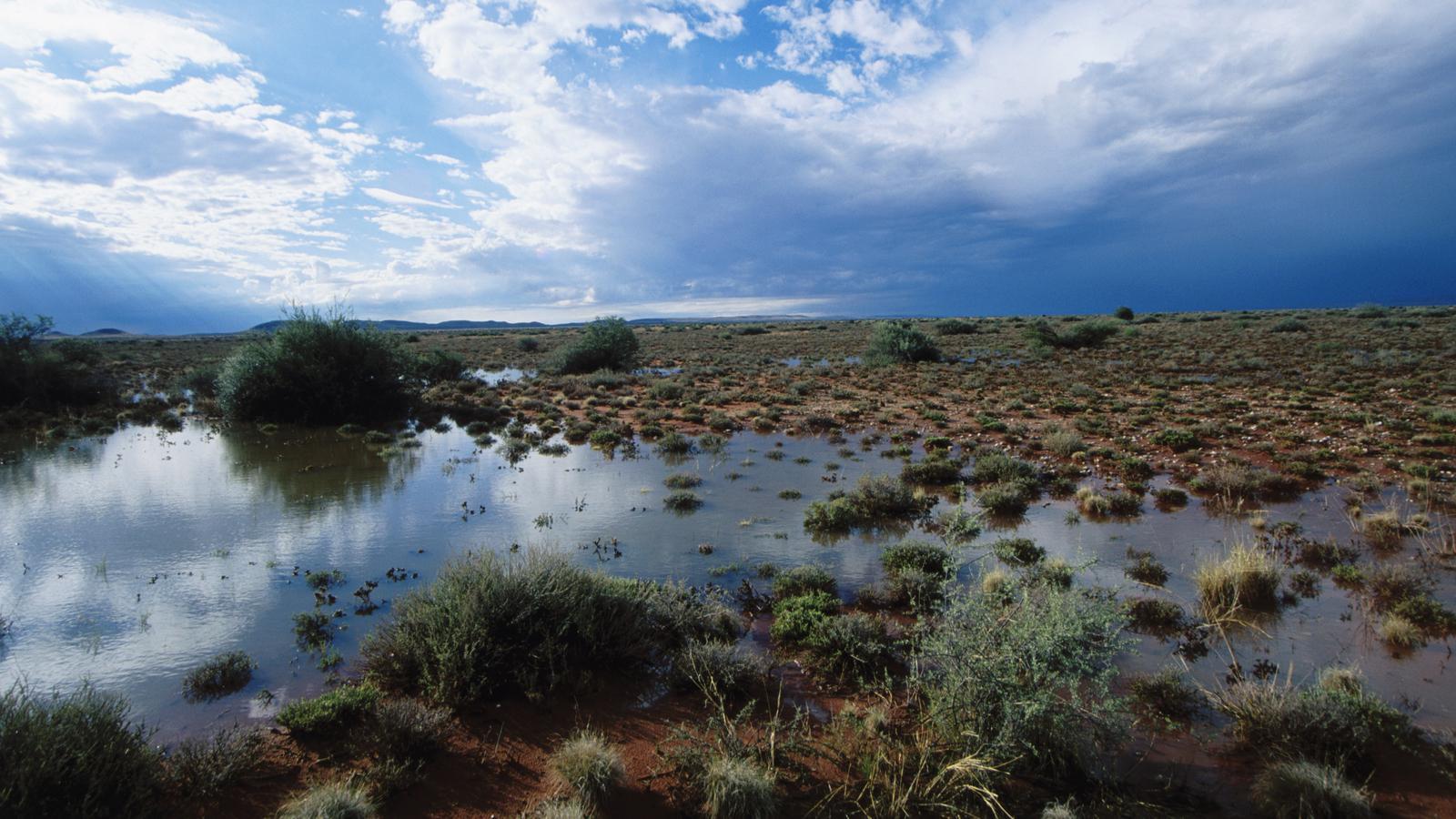 Great flood of the Kalahari Tigtag