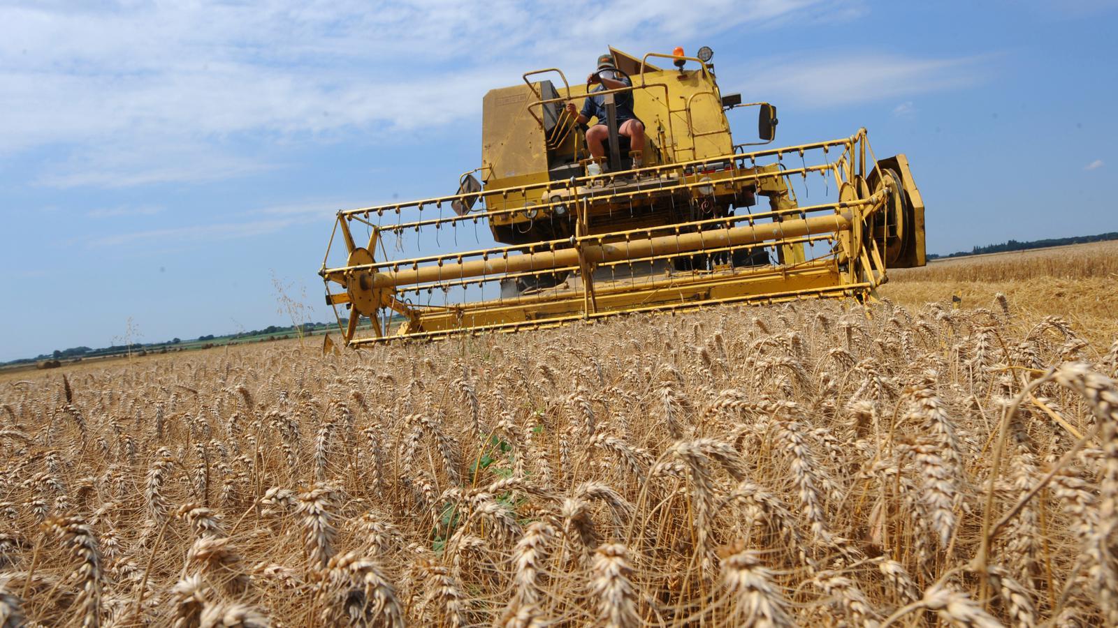 Combine harvesters Tigtag